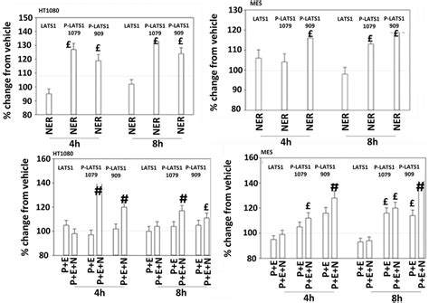 Neratinib And When Combined With Pazopanib Entinostat Activates