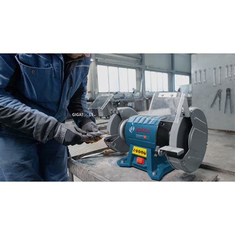 Bosch GBG 60-20 Professional 8" Double-Wheeled Bench Grinder ( 600W ...