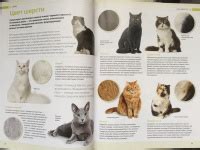 Книга: Кошки. Самая полная иллюстрированная энциклопедия - Дудникова ...