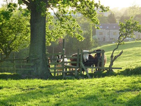 Hazy Days Of Spring Hazy Lancashire English House