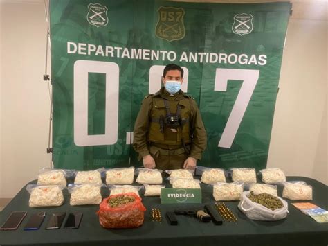 En Teno Carabineros Del Os Junto A Ejemplar Canina Laika Logran La