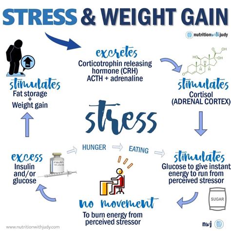 Stress Hormones Makes You Fat