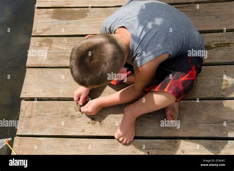 Baiting Fish Hook Hi Res Stock Photography And Images Alamy
