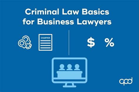 Criminal Law Basics For Business Lawyers Lso Store