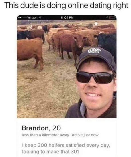 Memes Are Still Funny W Linky Gay Nyc Dad