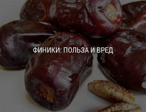 Финики – полезные свойства, вред фиников, противопоказания к ...