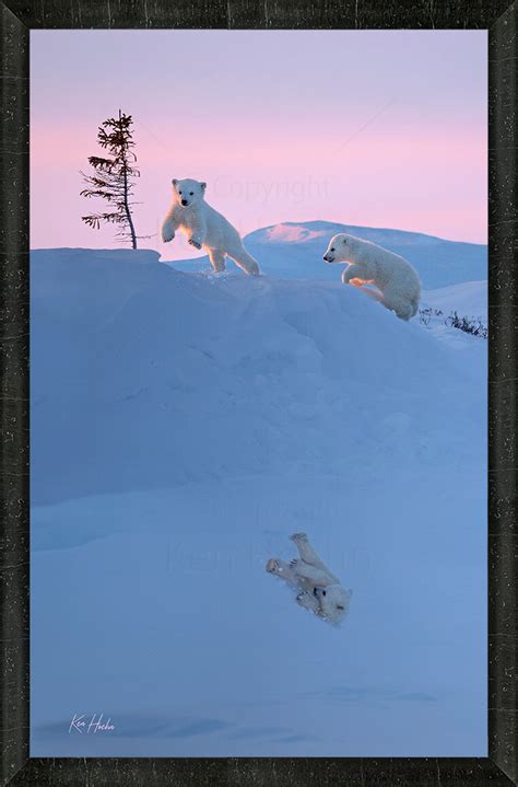 Toboggans — The Ken Hoehn Gallery