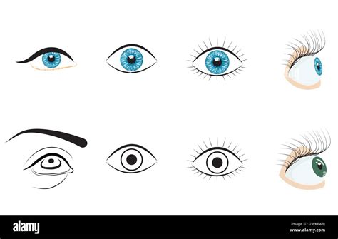 Human Eye Icons Set Vector Illustration Isolated On White Background