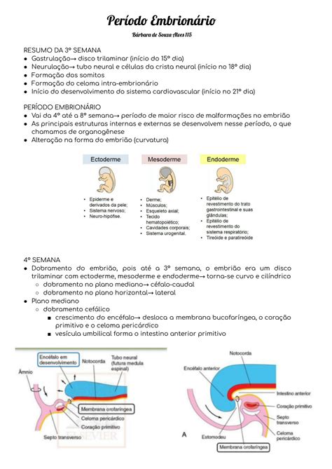 Solution Embriologia Per Odo Embrion Rio Studypool