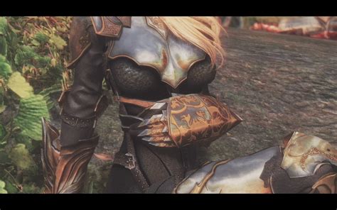 Amidianborn Book Of Silence Ebony Armor Retexture At Skyrim Nexus