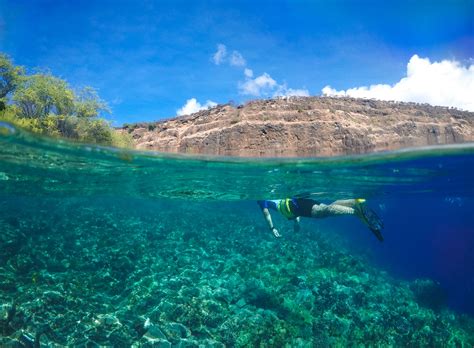 Snorkeling Tours Kona Hawaii - resoluteness-solutions-info