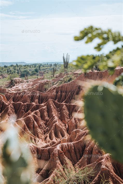 Extreme Climate And Cactuses In Tatacoa Red Desert Colombia Villavieja