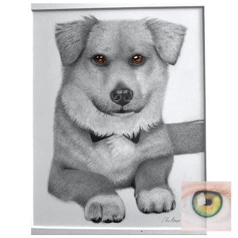 Detailed Custom Pet Portrait Drawing Personalized T For Animal Lovers