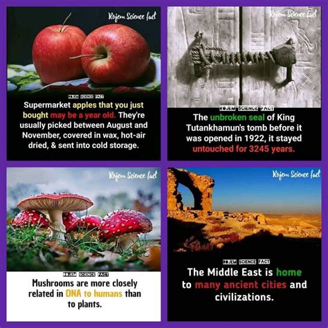 pin  keith gailliard  information interesting facts  world