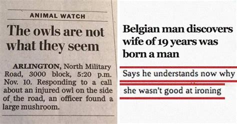 50 Fun Headlines From Local News That Are Unhinged And Bizarre Bored