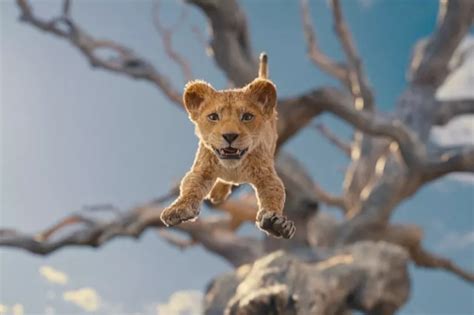 Mufasa The Lion King Timeline Predictions And Additional