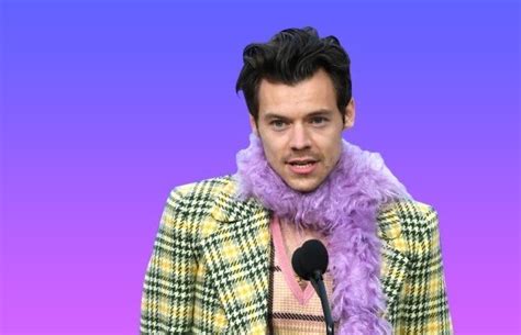 Interpretará Harry Styles a personaje gay en su nueva película Anodis