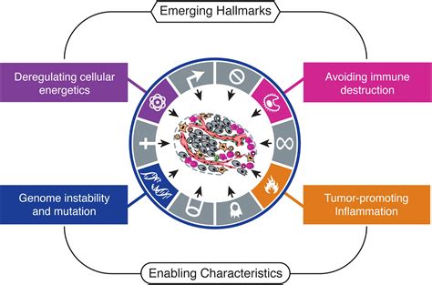 Hallmarks Of Cancer