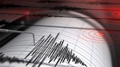 Se Registra Sismo En Cdmx Hoy 23 De Junio ¿por Qué No Se Activó La