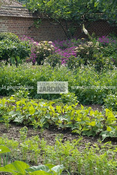 La Phototh Que Les Plus Beaux Jardins Potager Fleuri Rang De