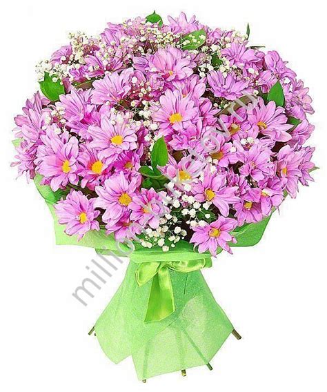 Букет из розовых хризантем – купить красивый подарок с доставкой по Москве