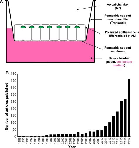 A Guide To Polarized Airway Epithelial Models For Studies Of Host