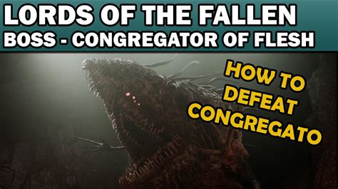 Lords Of The Fallen Boss Guide The Congregator Of Flesh Flesh