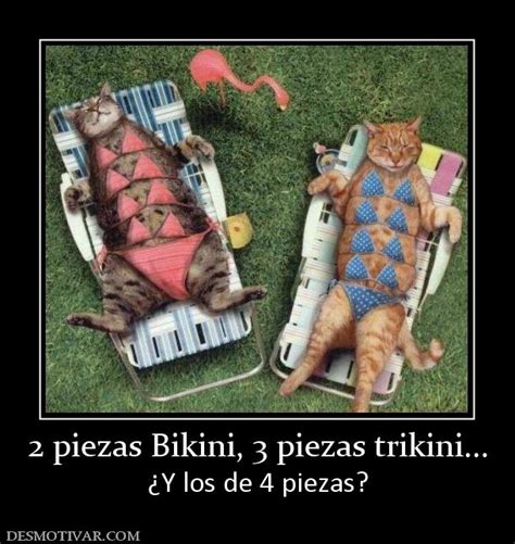 Desmotivaciones Piezas Bikini Piezas Trikini Y Los De Piezas