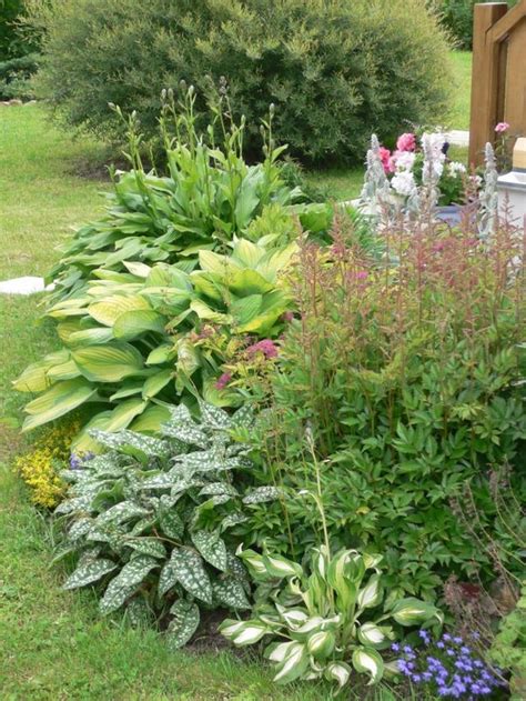 Дизайн клумб под деревьями: 50 сочных вариантов в тени | Живу за городом