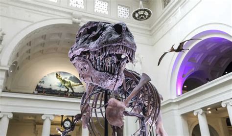 Quick Guide Chicago Museums With Dinosaurs Life Finds A Way