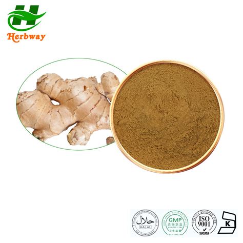 Herbway Botanical Extract Wholesales Supply Ginger Root Extract ...