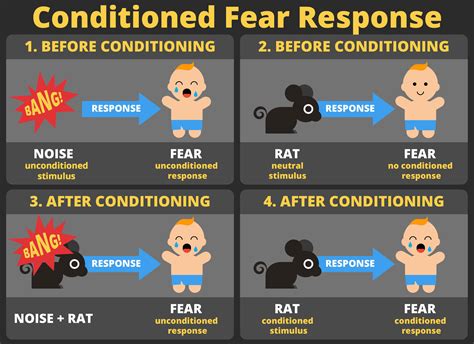 Classical Conditioning Examples Human At Sandra Moody Blog