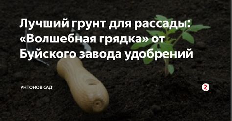 Лучший грунт для рассады: «Волшебная грядка» от Буйского завода ...
