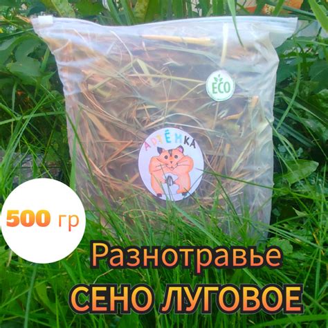 сено луговое - купить с доставкой по выгодным ценам в интернет-магазине ...