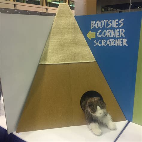 Latest Cat Trends From Global Pet Expo I Have Cat