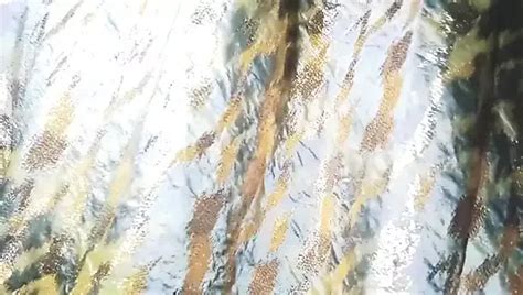 Indian Gay Crossdresser Gaurisissy Showing Her Full Body And Pressing And Playing With Her Big