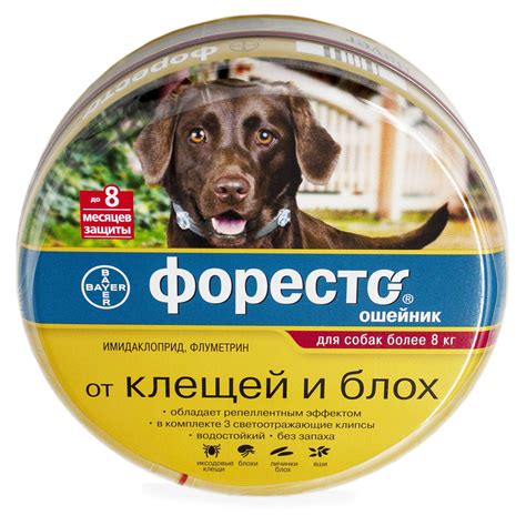 Подробный обзор ошейников от блох и клещей от компании Форесто для собаки