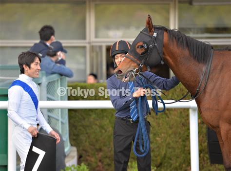 東スポ 写真部 On Twitter 2023年4月16日 競馬 レース 9r 医王寺特別 1着7番・ アドヴァイス（ 丹内祐次