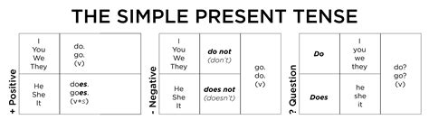 Simple Present Tense Geniş Zaman 8