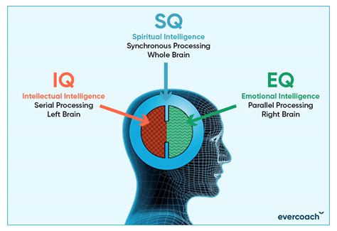 How To Develop Spiritual Intelligence - Evercoach - By Mindvalley