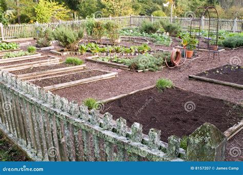Vegetable Garden Plots Stock Image Image Of Trees Grass 8157207