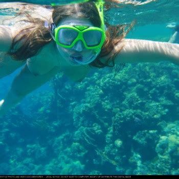 Nude Snorkeling Phun Org Forum