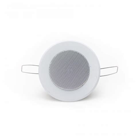Потолочный динамик SKY SOUND TS-1010TW купить в интернет-магазине Sky Sound