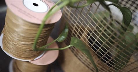 Что такое рафия и что из нее связать: 5 идей