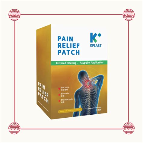 Bundle Of 12 Kplass Pain Relief Patch 6 Patches Shopee Singapore