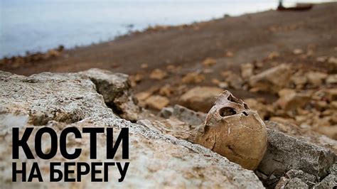 Кости на берегу - YouTube