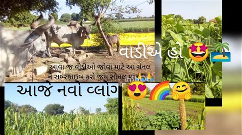 Farmer Kathiyavadi Gujarat