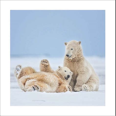 Woodmansterne Festive Fun Polar Bear Christmas Card