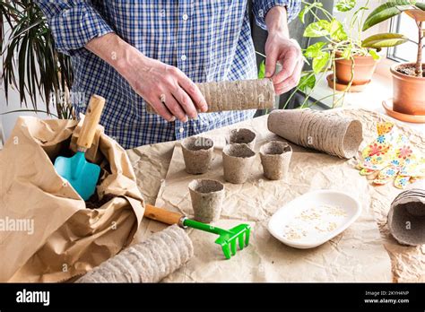 The Process Of Planting Sweet Pepper Seeds In Peat Eco Friendly Forms