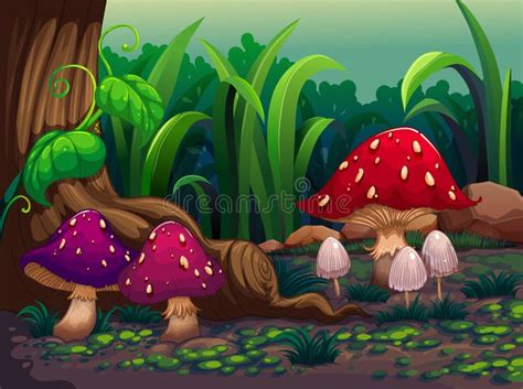 Champignons G Ants Dans La For T Illustration De Vecteur Illustration